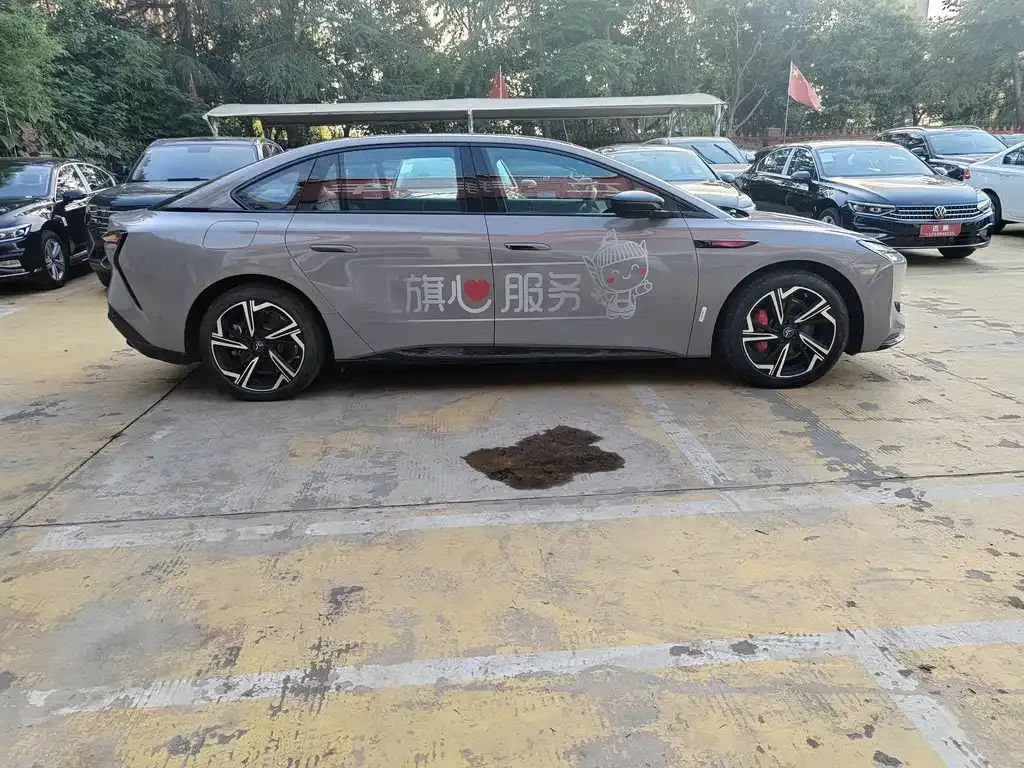 Hongqi EH7 — фото 9