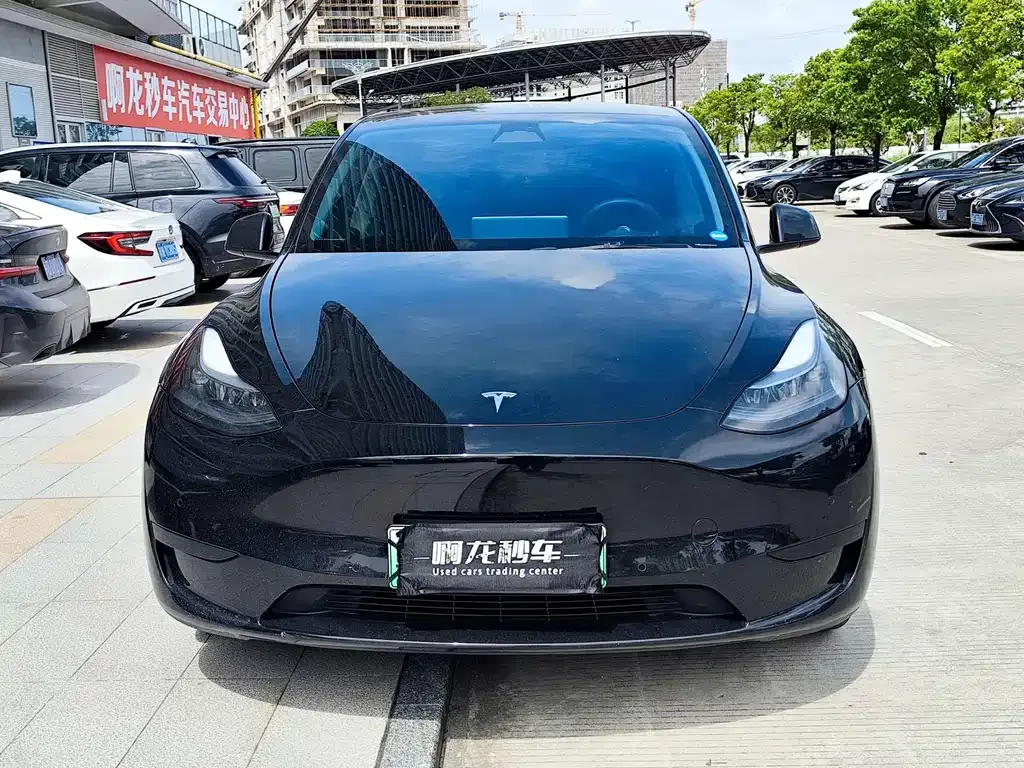 Tesla Model Y — фото 8