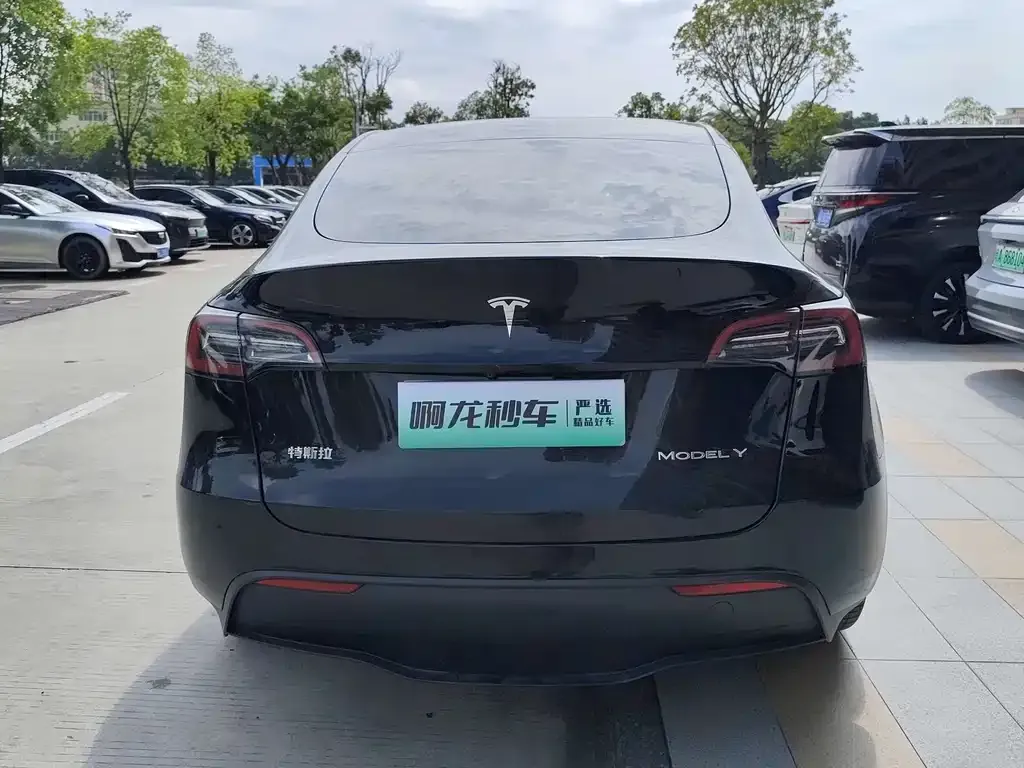 Tesla Model Y — фото 2