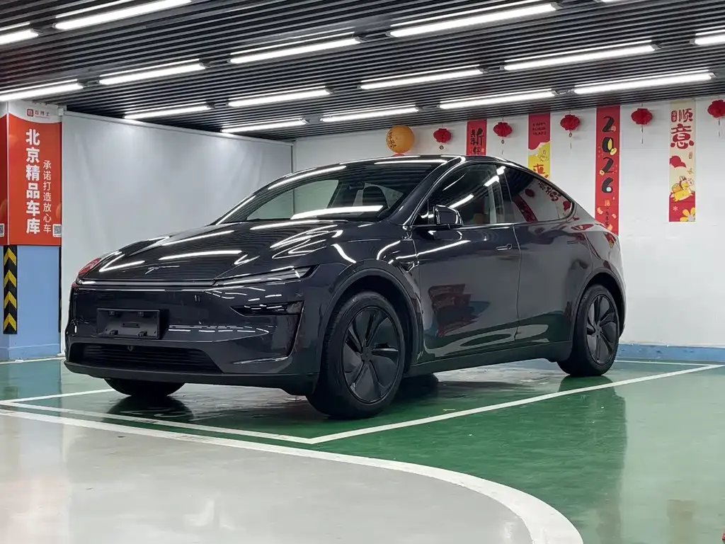 Tesla Model Y — фото 1