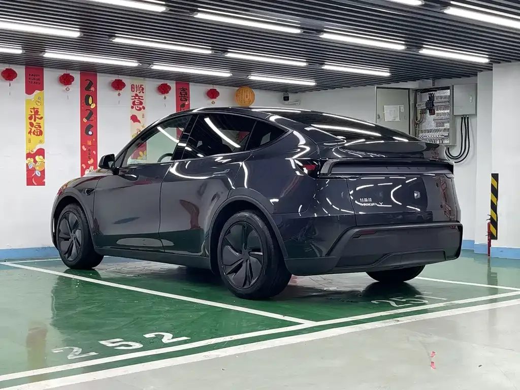 Tesla Model Y — фото 10