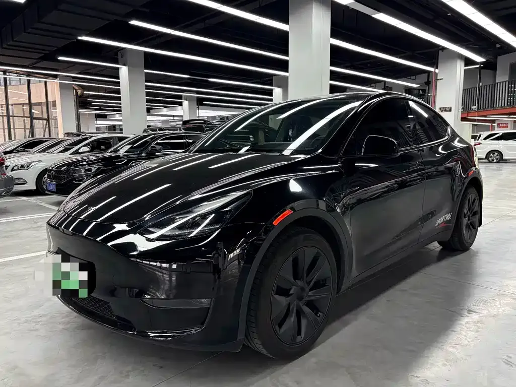 Tesla Model Y — фото 1