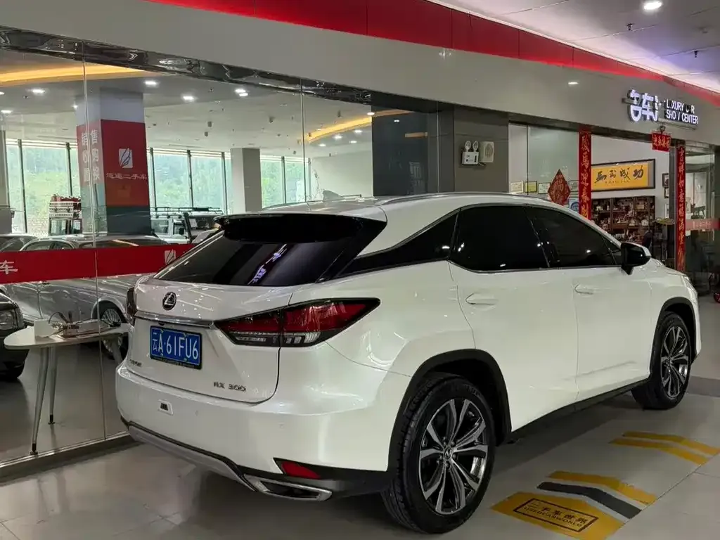Lexus RX — фото 10