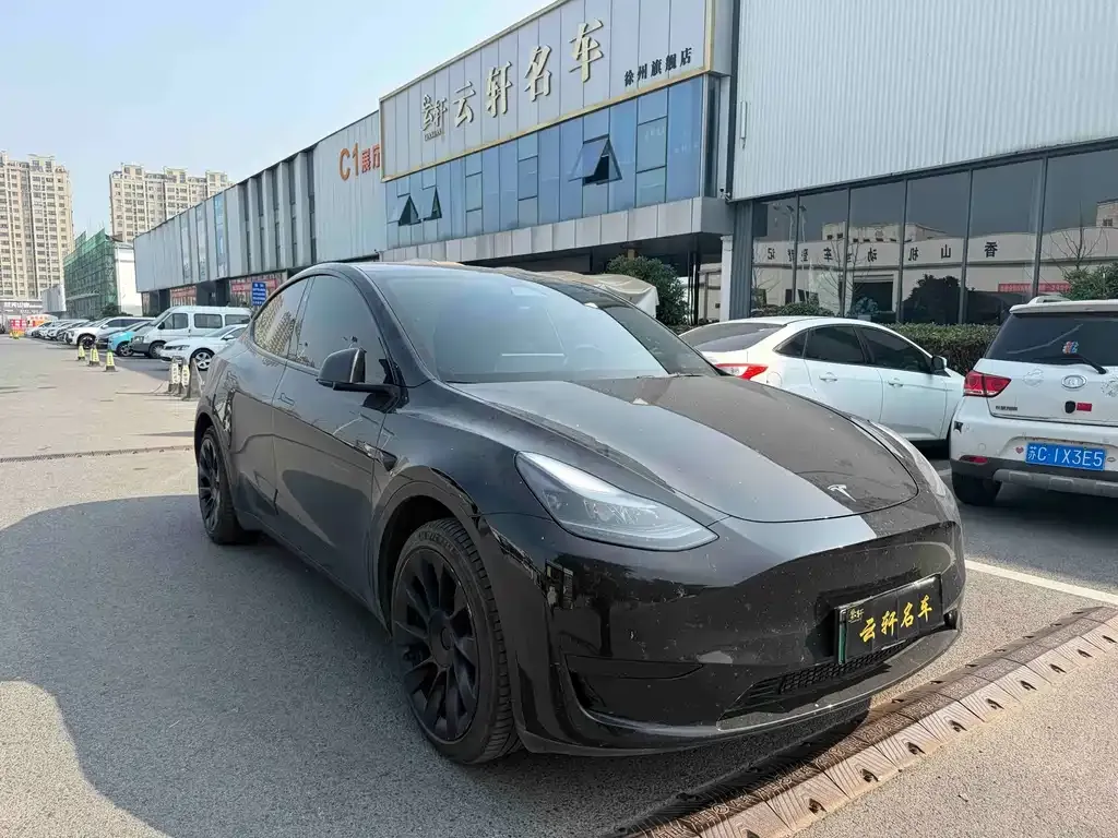 Tesla Model Y — фото 3