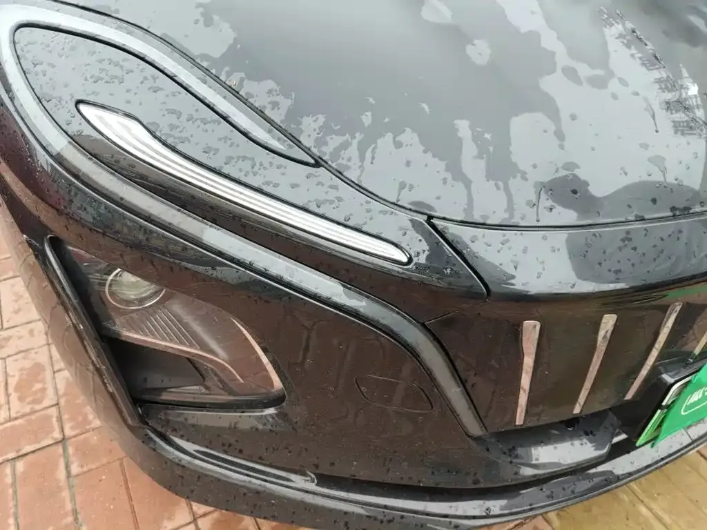 Hongqi E-QM5 — фото 10