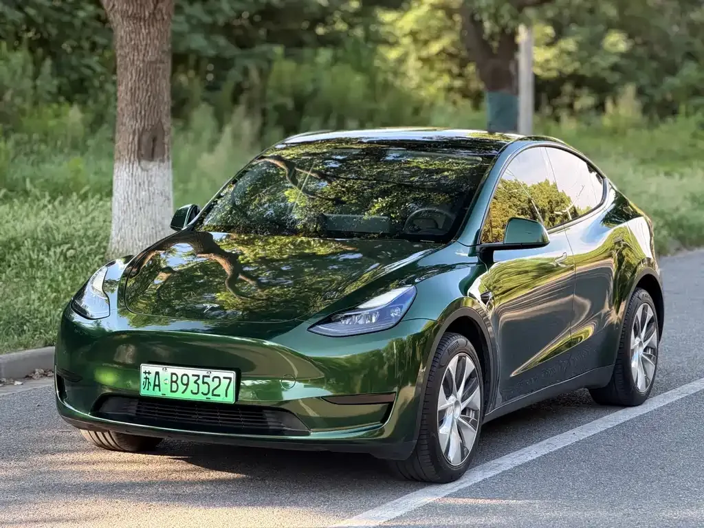 Tesla Model Y — фото 1