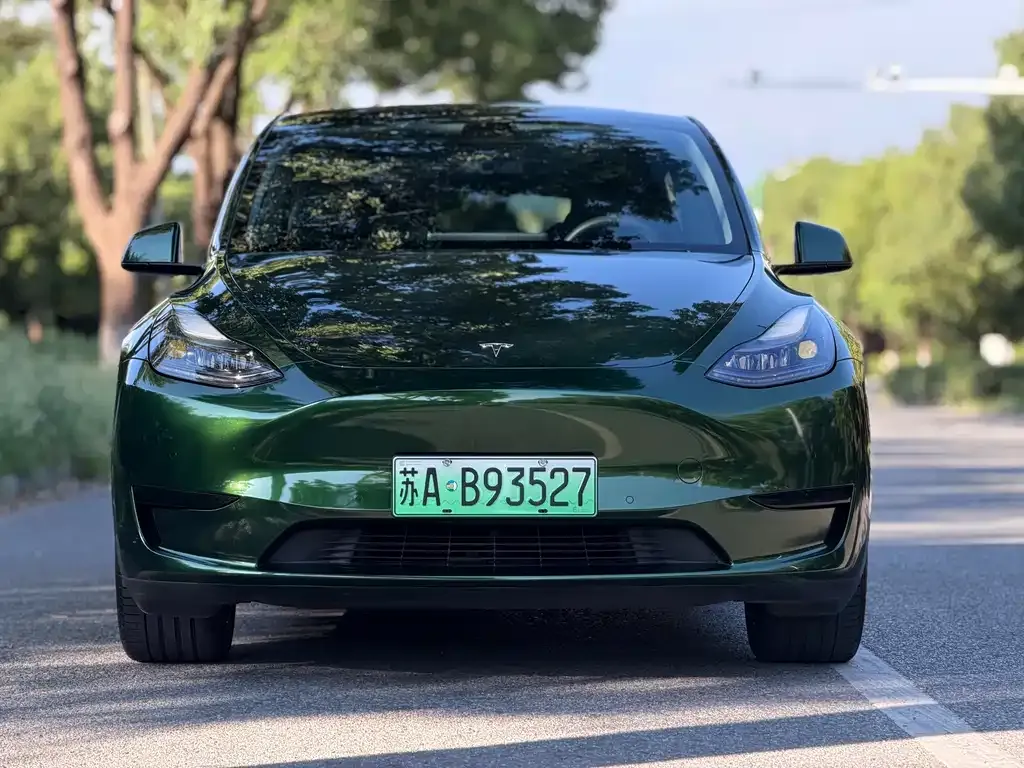 Tesla Model Y — фото 5