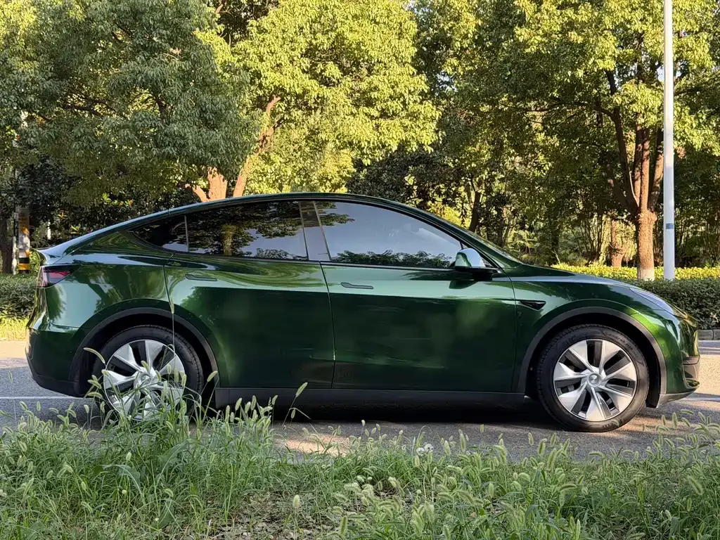 Tesla Model Y — фото 6