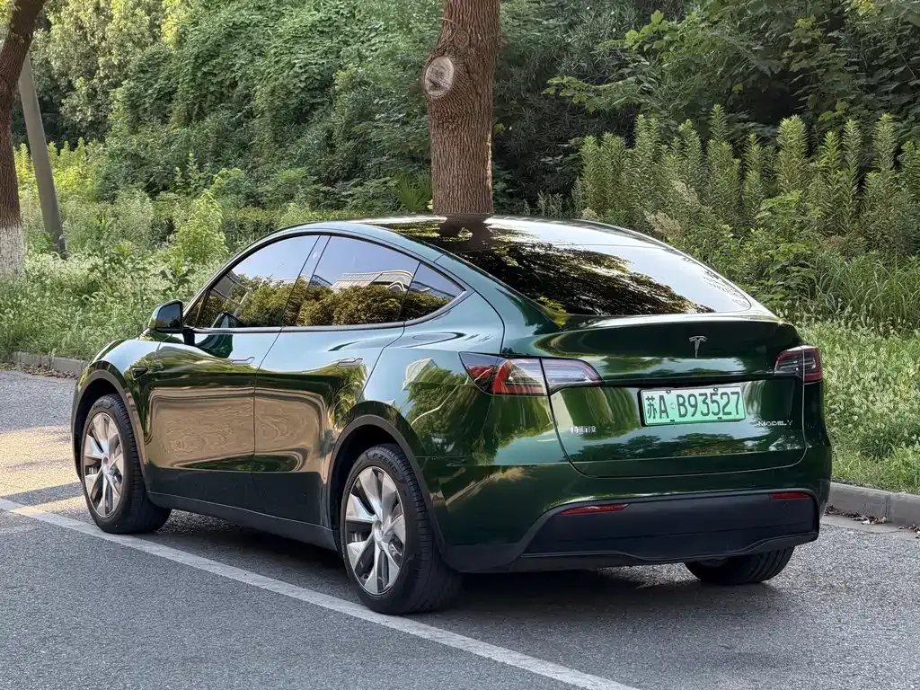 Tesla Model Y — фото 8