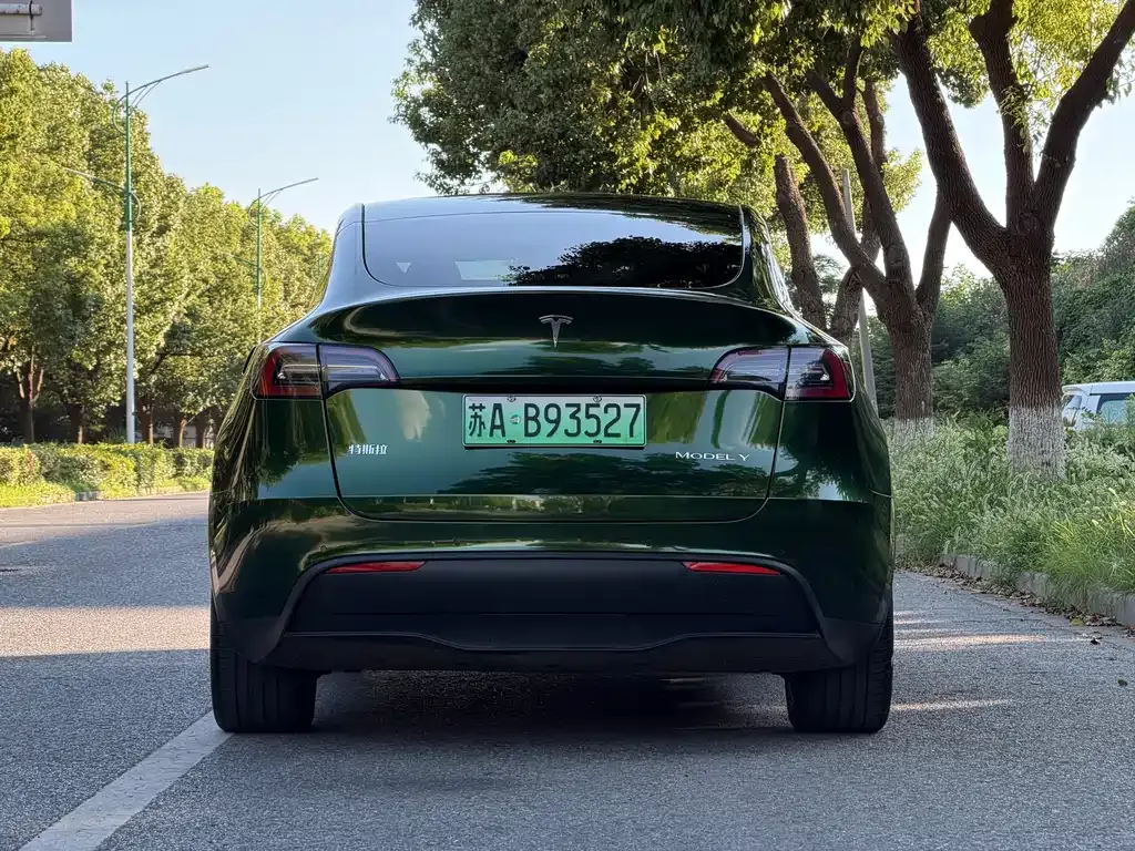 Tesla Model Y — фото 10