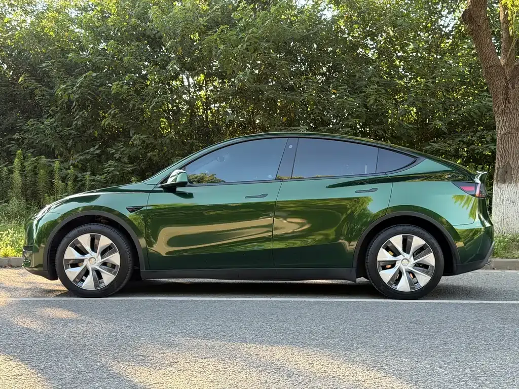Tesla Model Y — фото 9