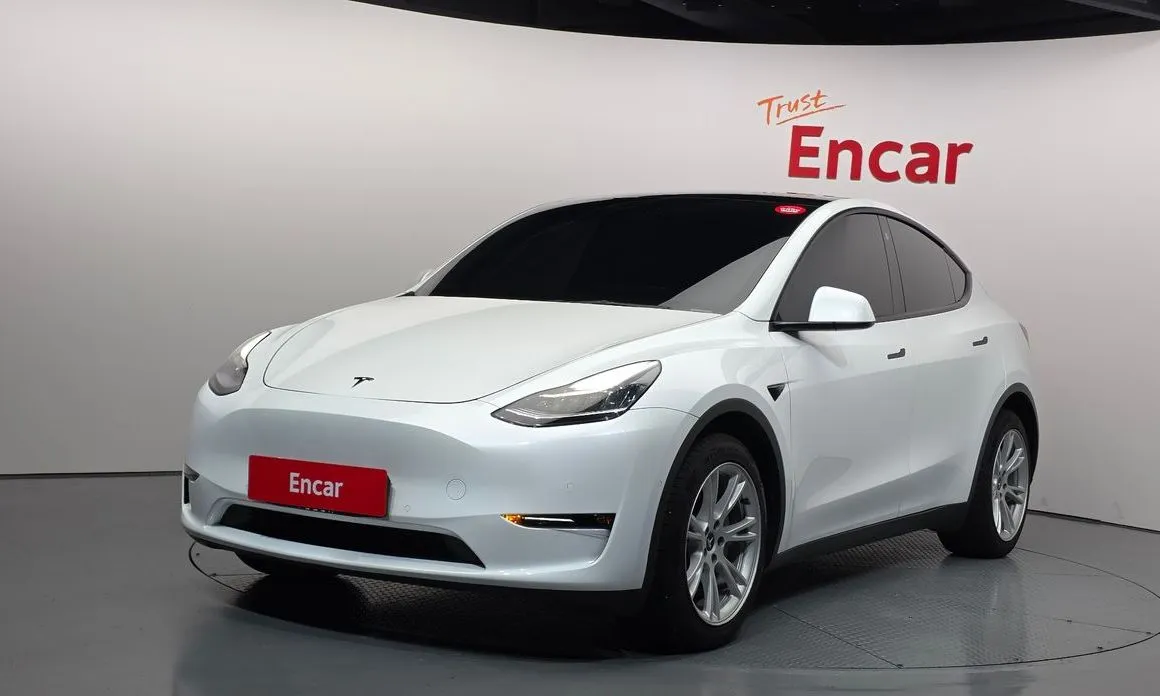 Tesla Model Y — фото 1