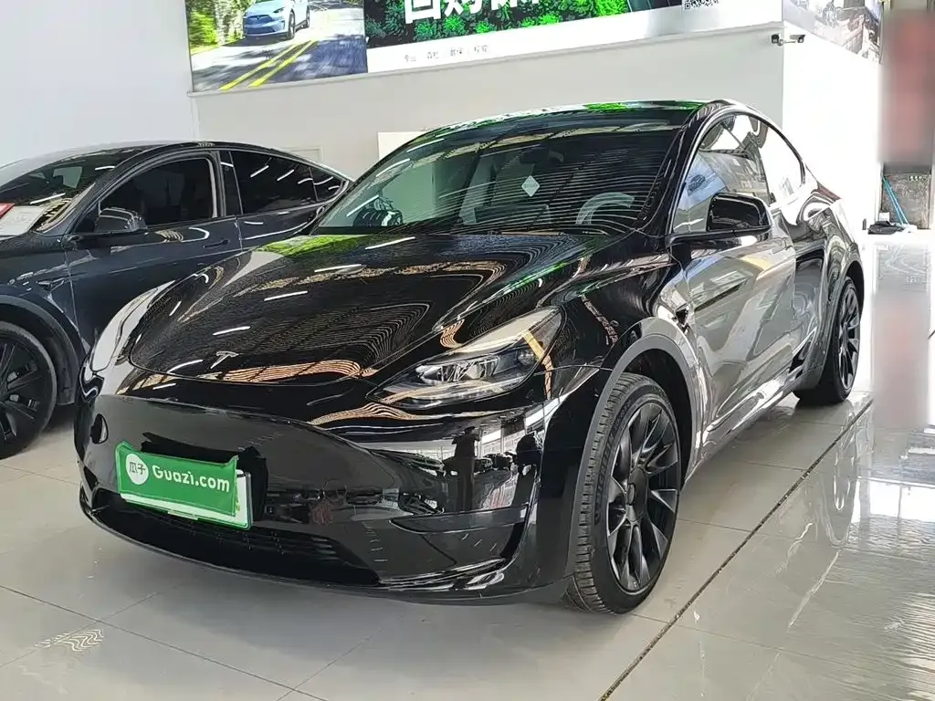Tesla Model Y — фото 10