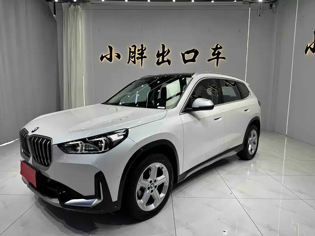 BMW X1 — фото 1