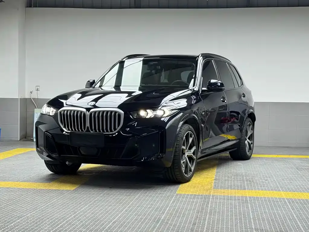 BMW X5 — фото 7