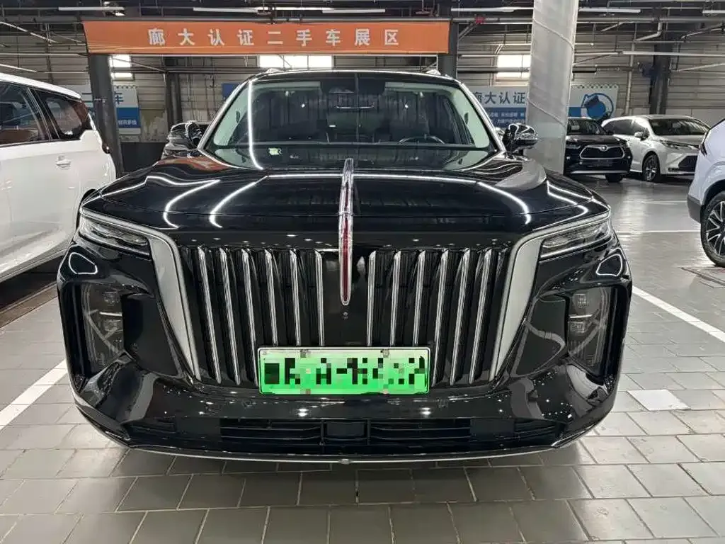 Hongqi E-HS9 — фото 2