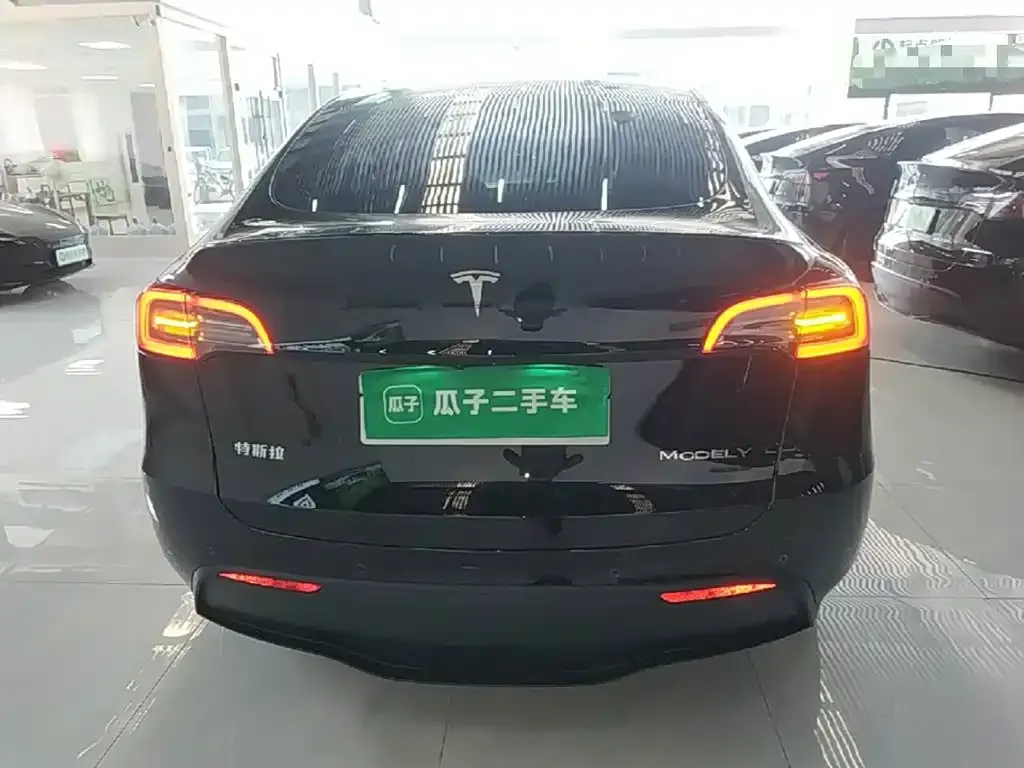 Tesla Model Y — фото 3