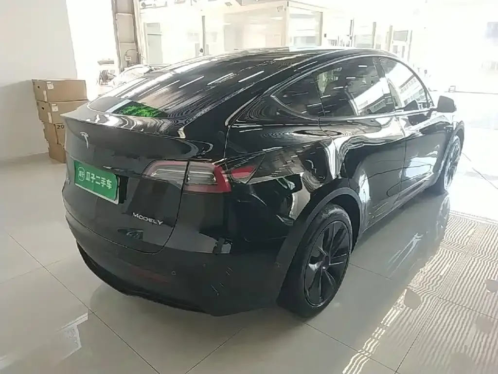 Tesla Model Y — фото 8