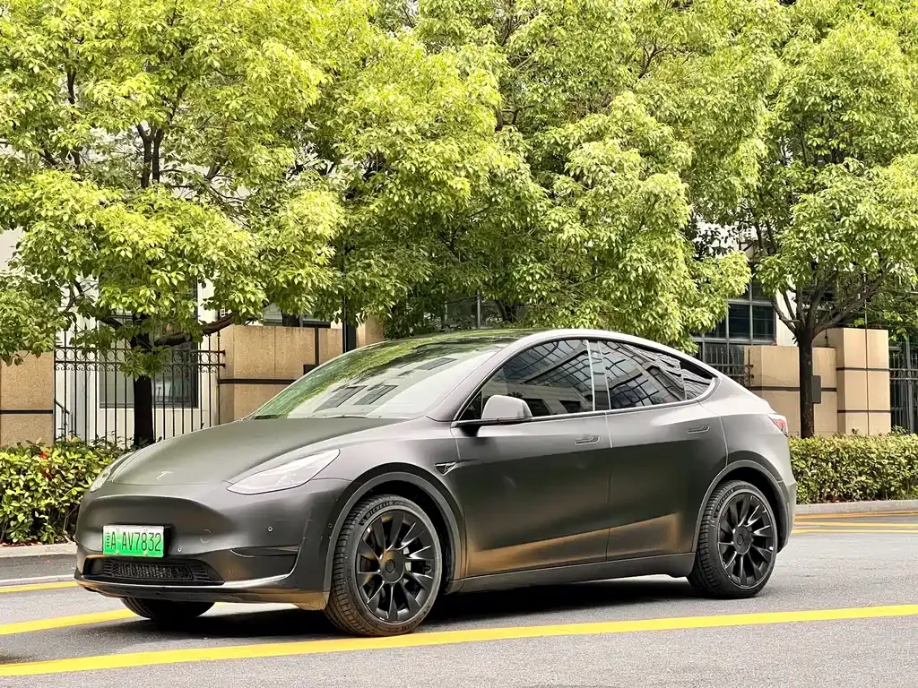 Tesla Model Y — фото 1