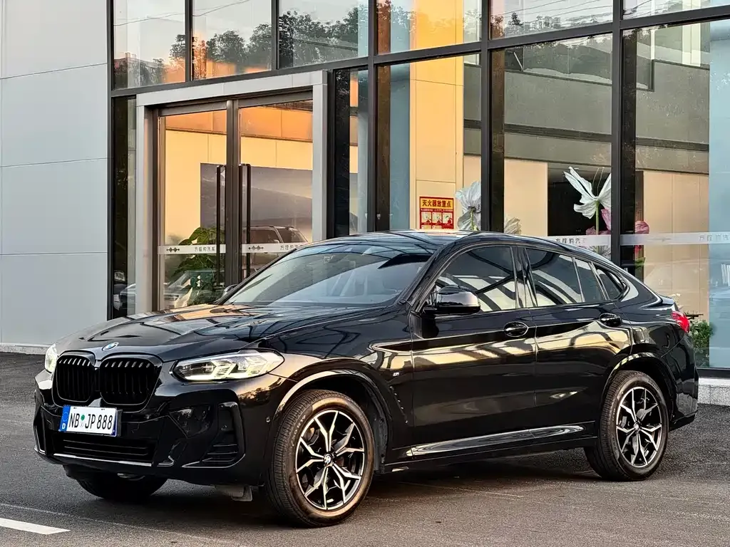 BMW X4 — фото 6