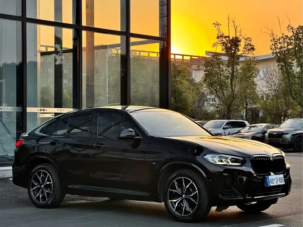 BMW X4 — фото 7