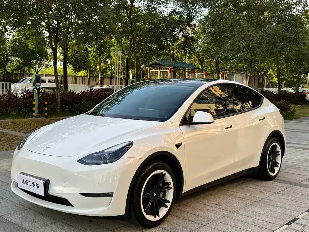 Tesla Model Y — фото 1