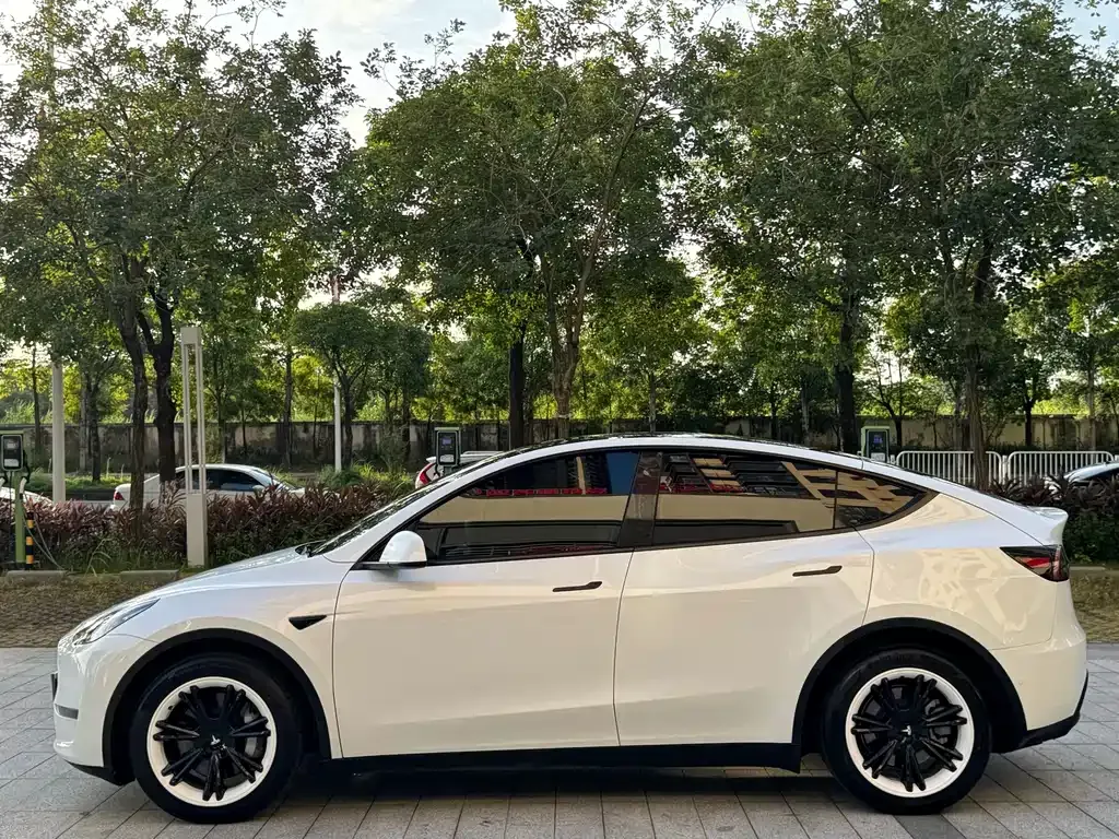 Tesla Model Y — фото 10