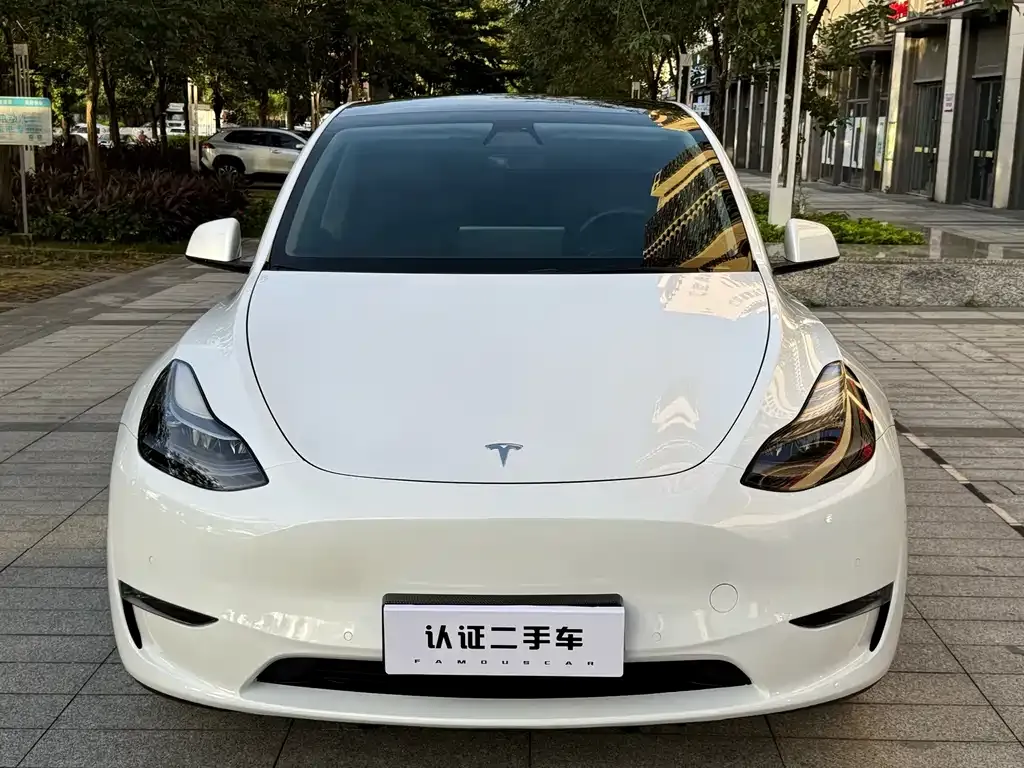 Tesla Model Y — фото 8