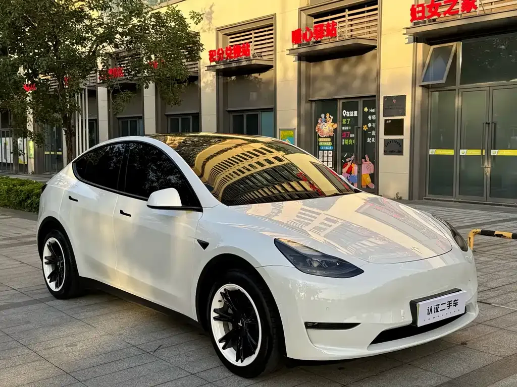 Tesla Model Y — фото 7