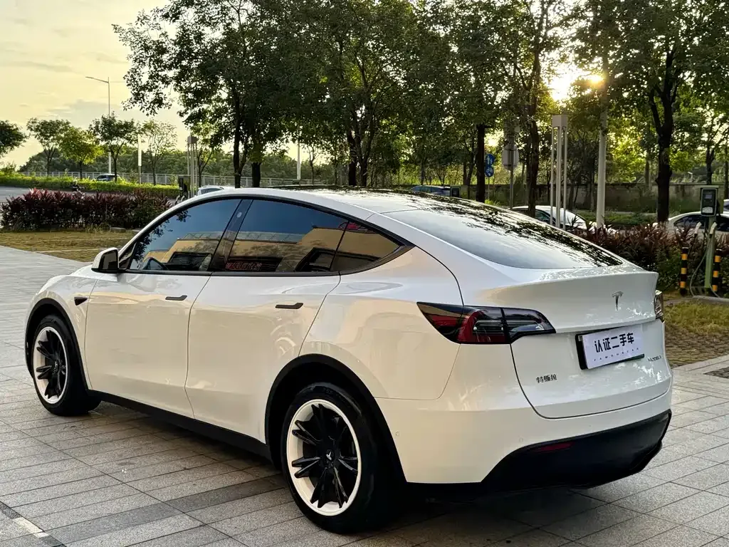 Tesla Model Y — фото 9
