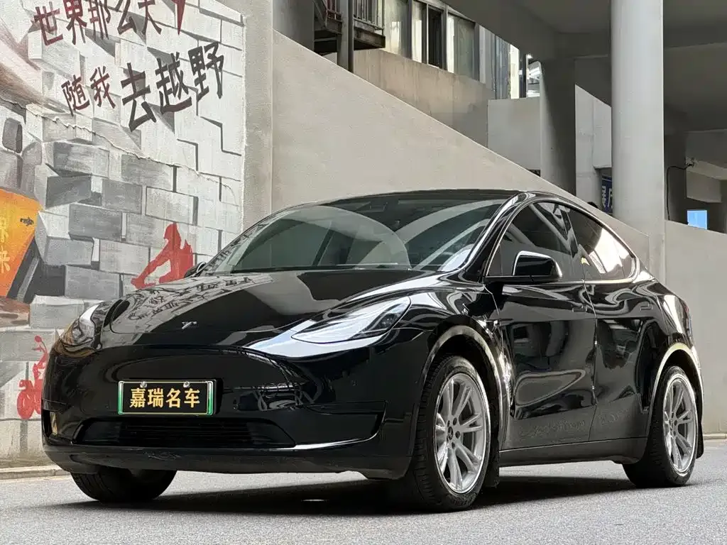 Tesla Model Y — фото 1