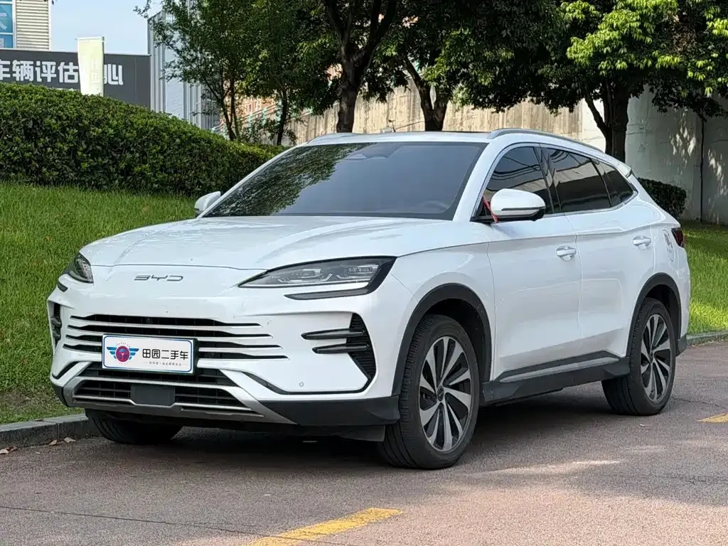 BYD PLUS New Energy — фото 1