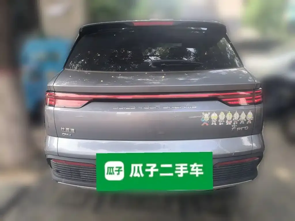 BYD Pro New Energy — фото 6