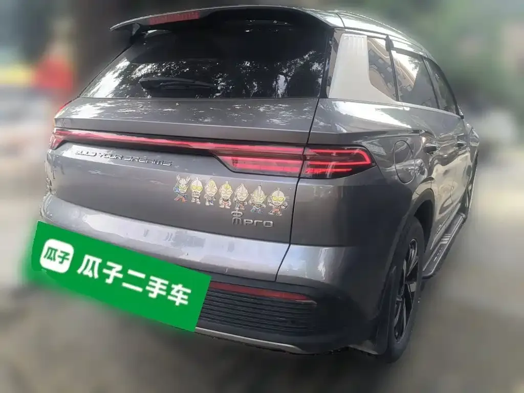 BYD Pro New Energy — фото 10