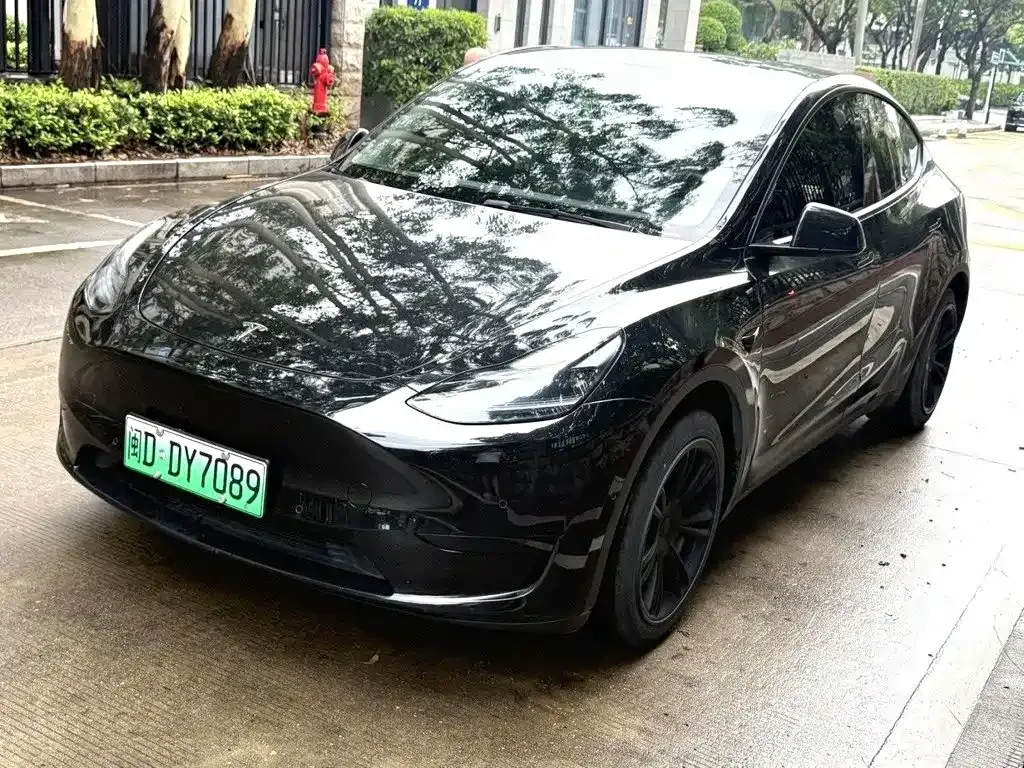Tesla Model Y — фото 1