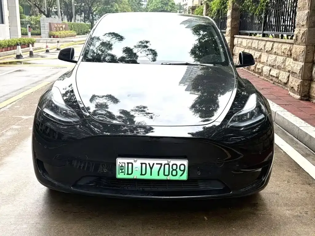Tesla Model Y — фото 8