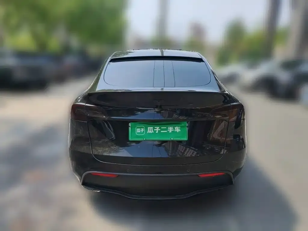 Tesla Model Y — фото 6