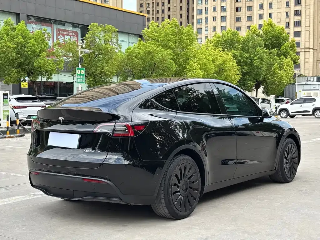 Tesla Model Y — фото 9