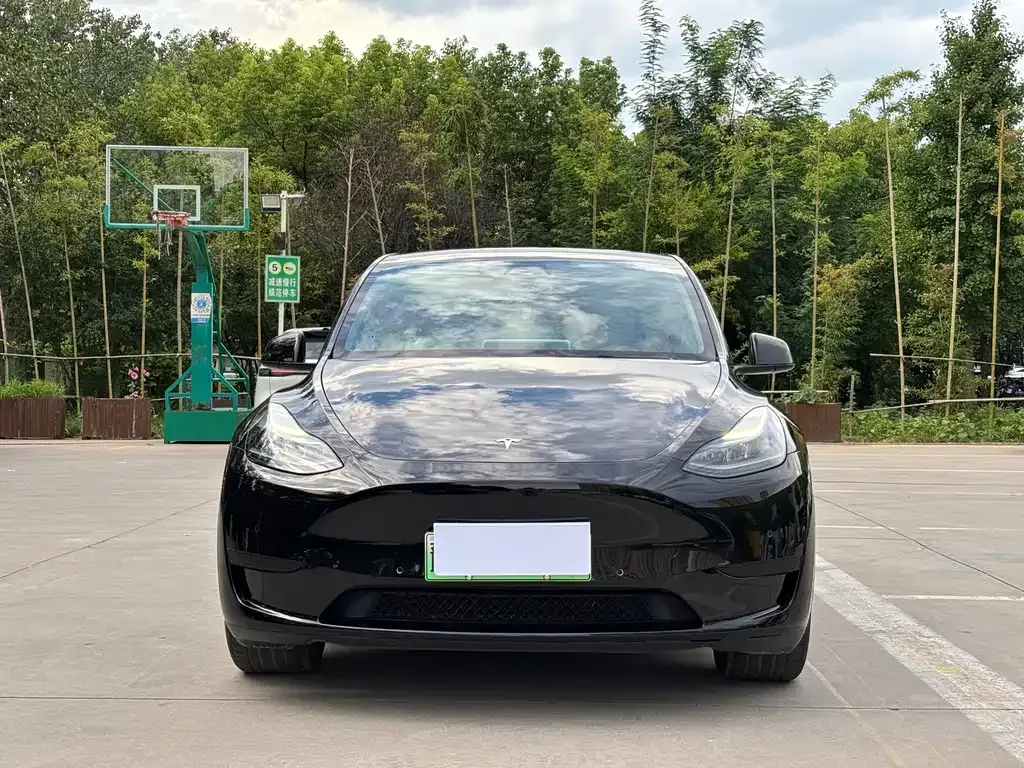 Tesla Model Y — фото 10