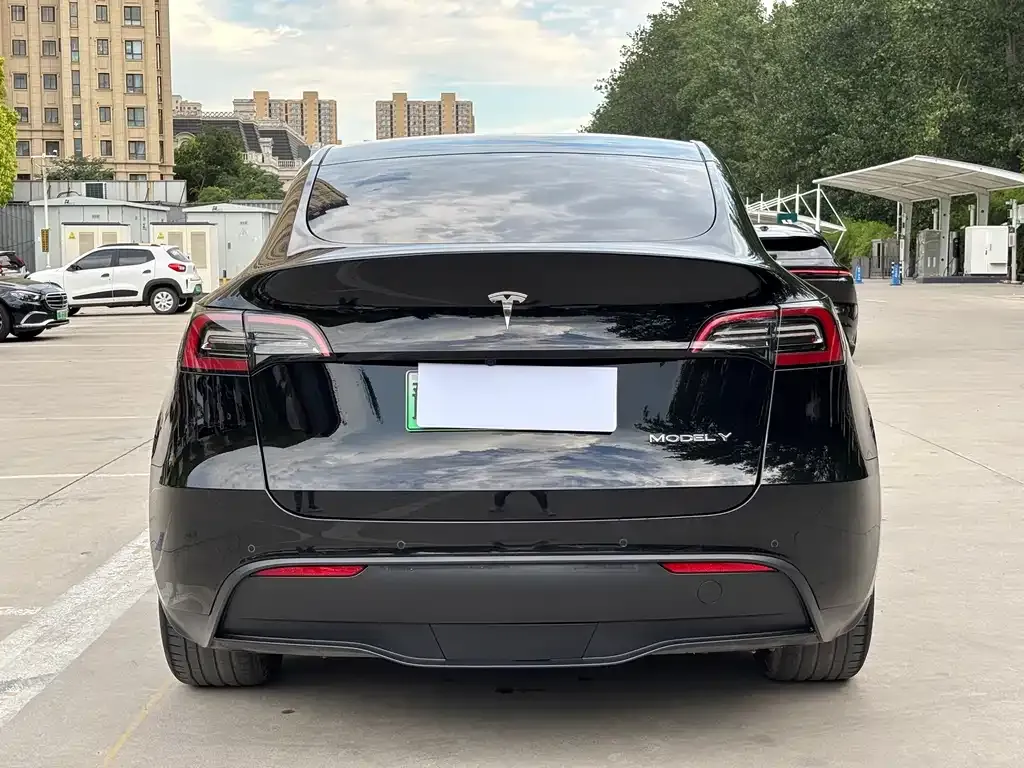 Tesla Model Y — фото 6