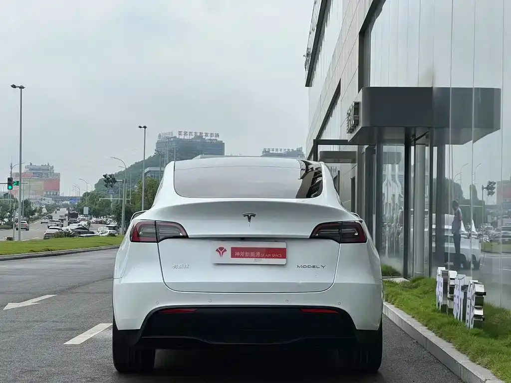 Tesla Model Y — фото 8