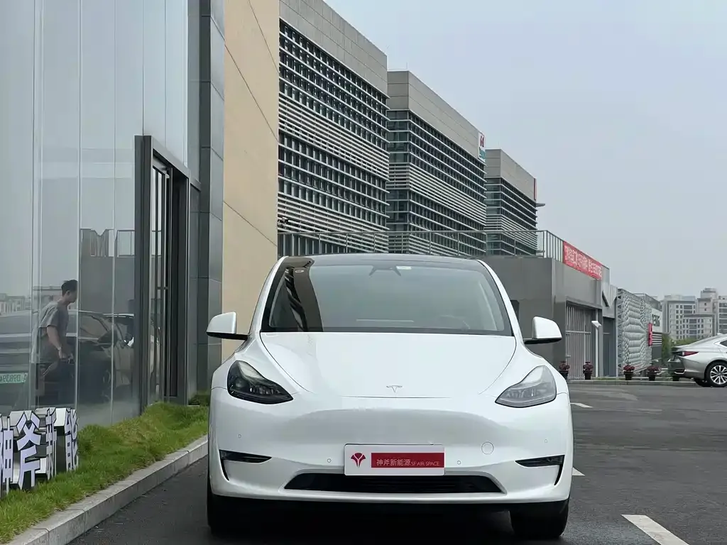 Tesla Model Y — фото 2