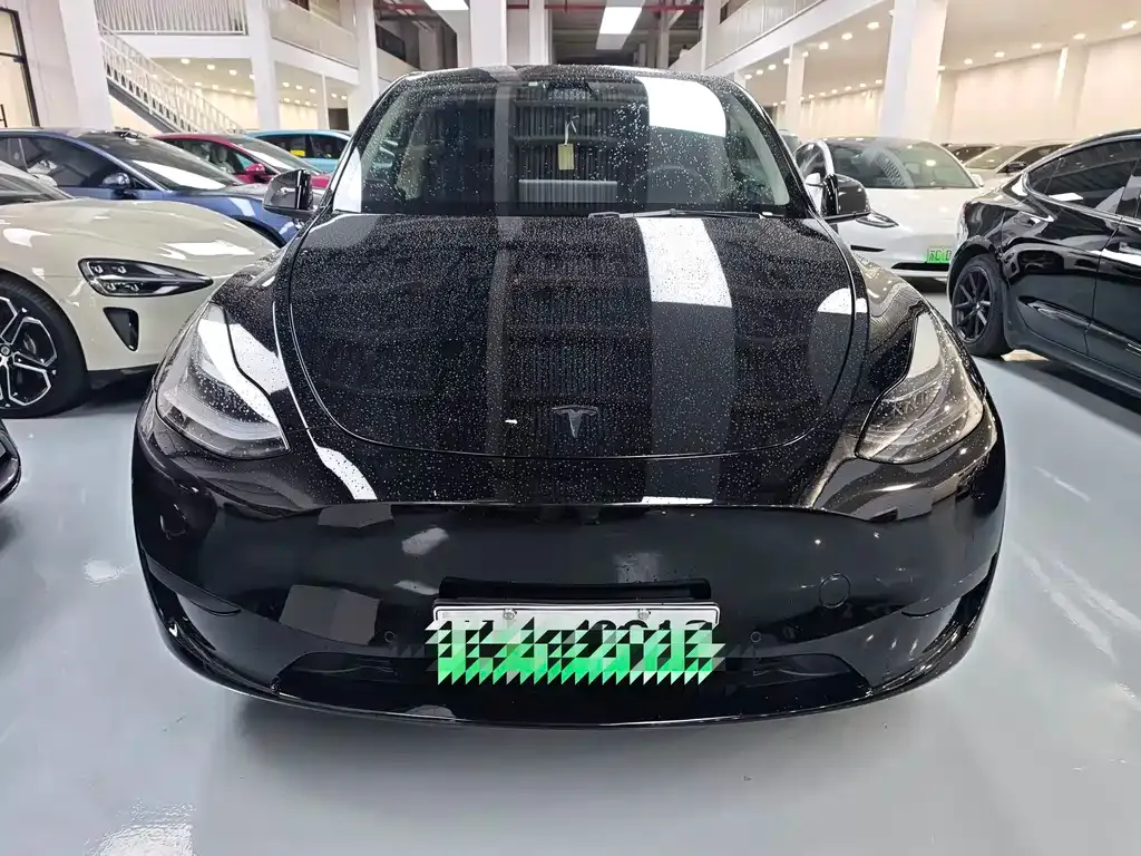 Tesla Model Y — фото 2
