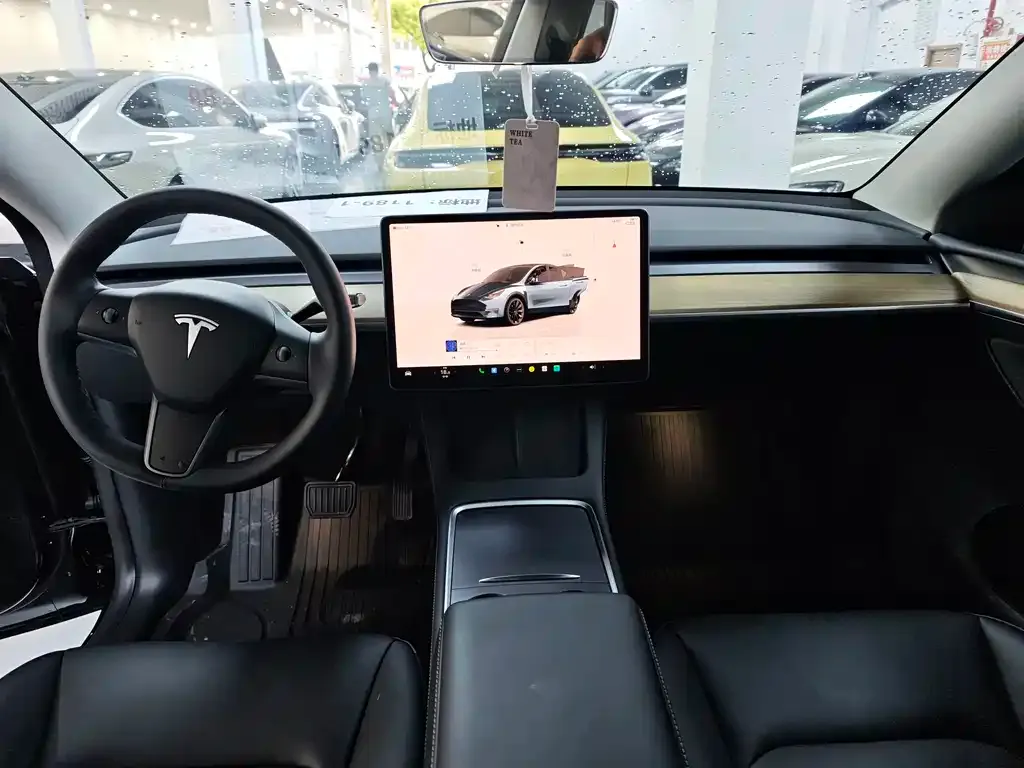Tesla Model Y — фото 9