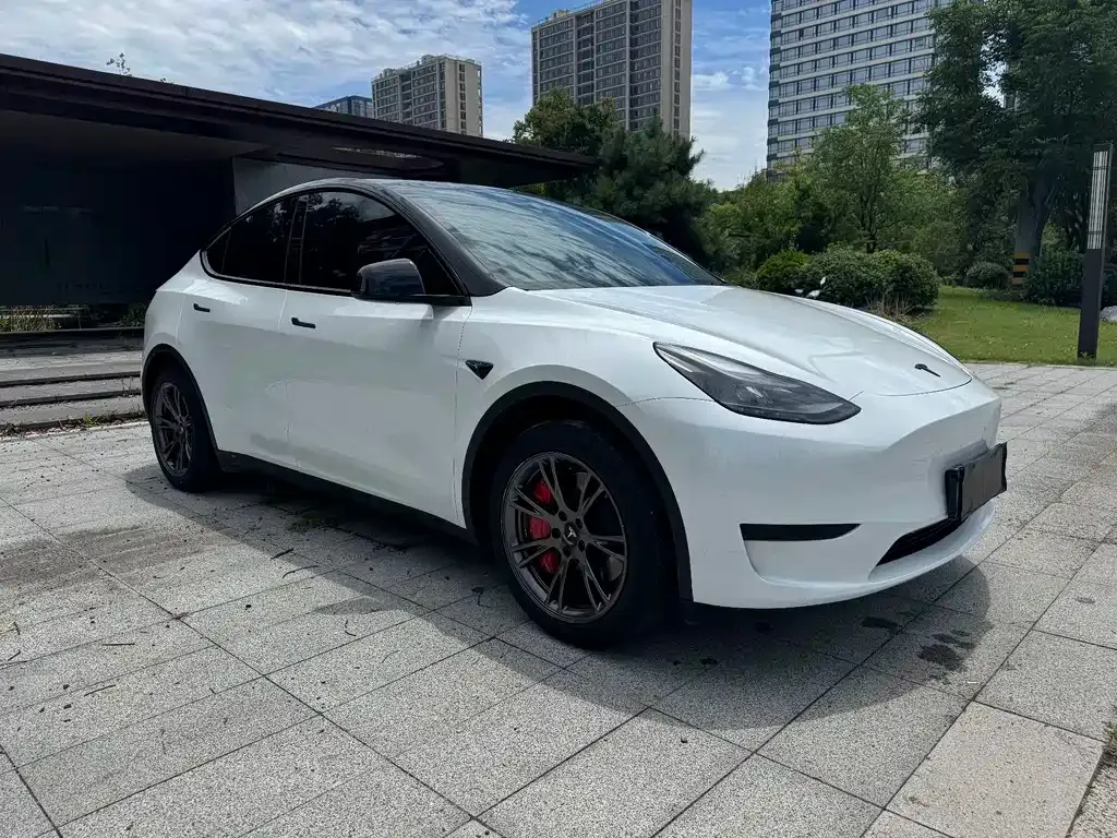 Tesla Model Y — фото 1