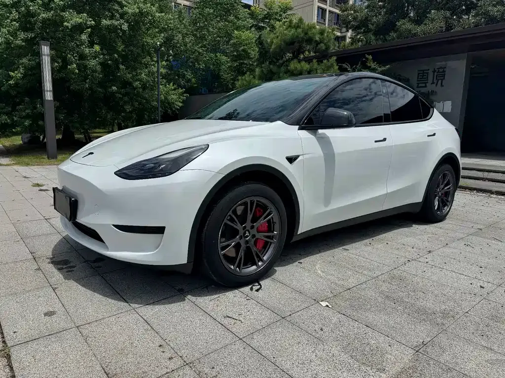 Tesla Model Y — фото 4