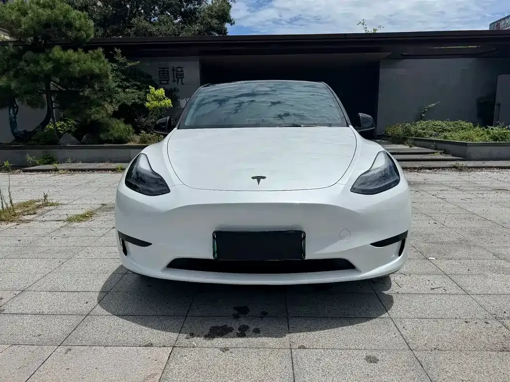Tesla Model Y — фото 3