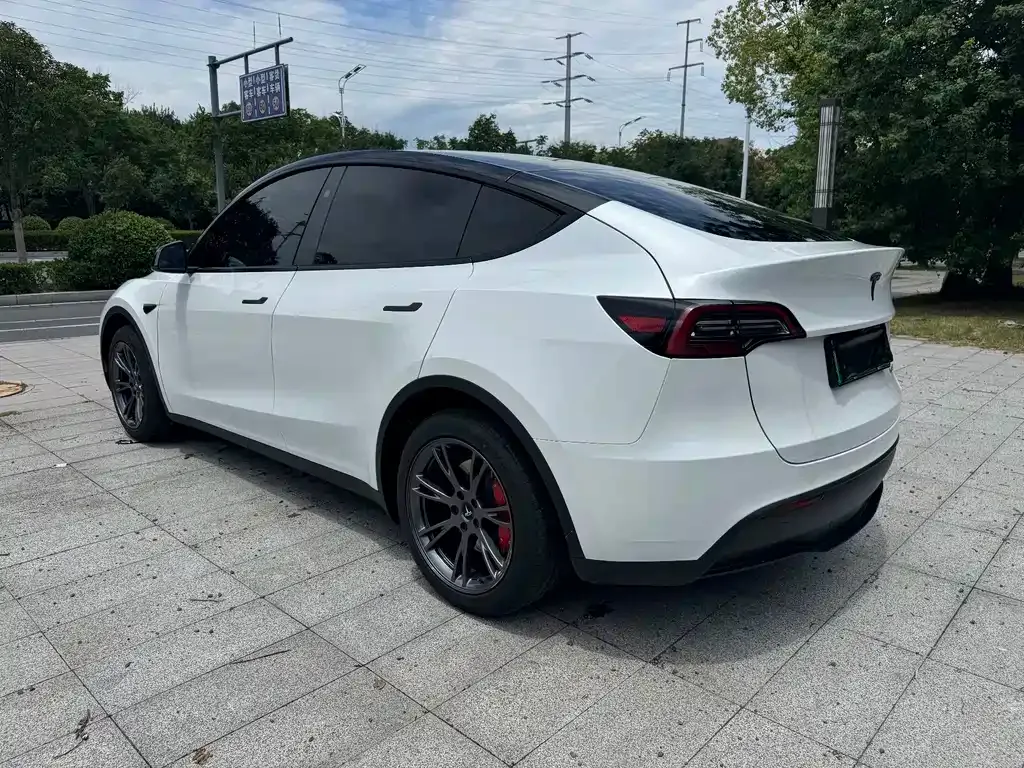 Tesla Model Y — фото 5