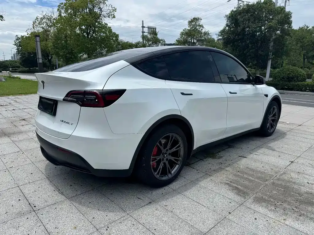 Tesla Model Y — фото 7