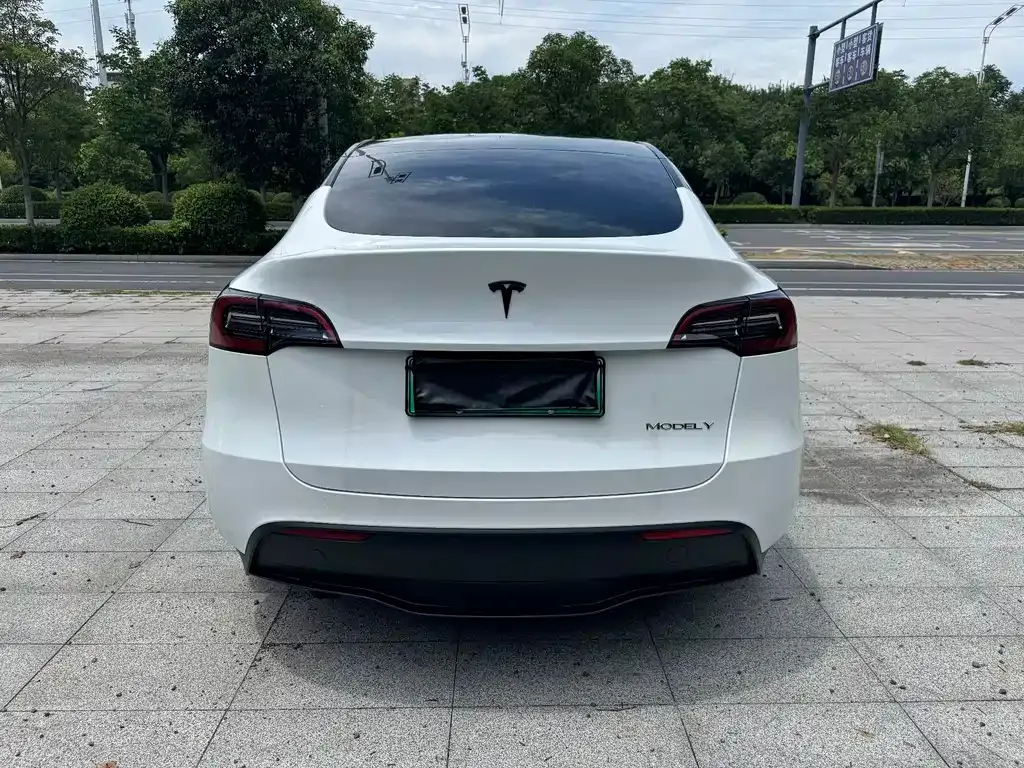Tesla Model Y — фото 6